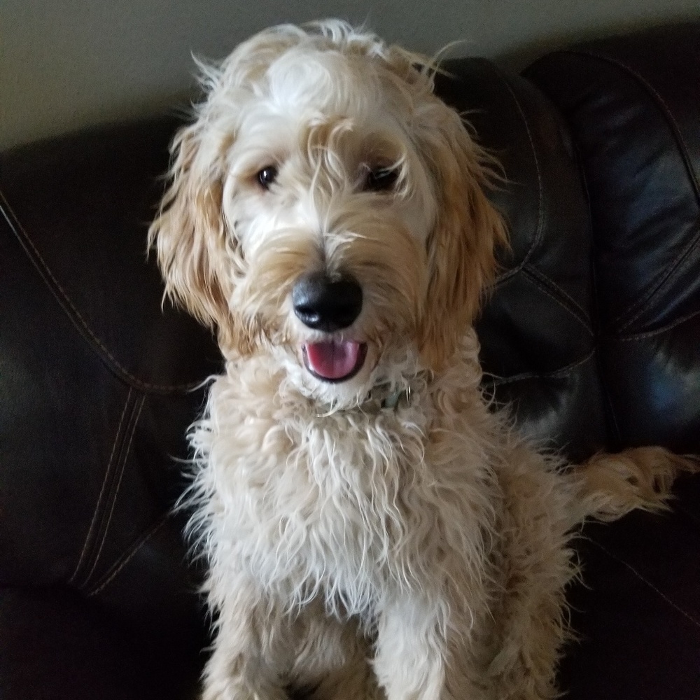 Meet your Posher, Kathy